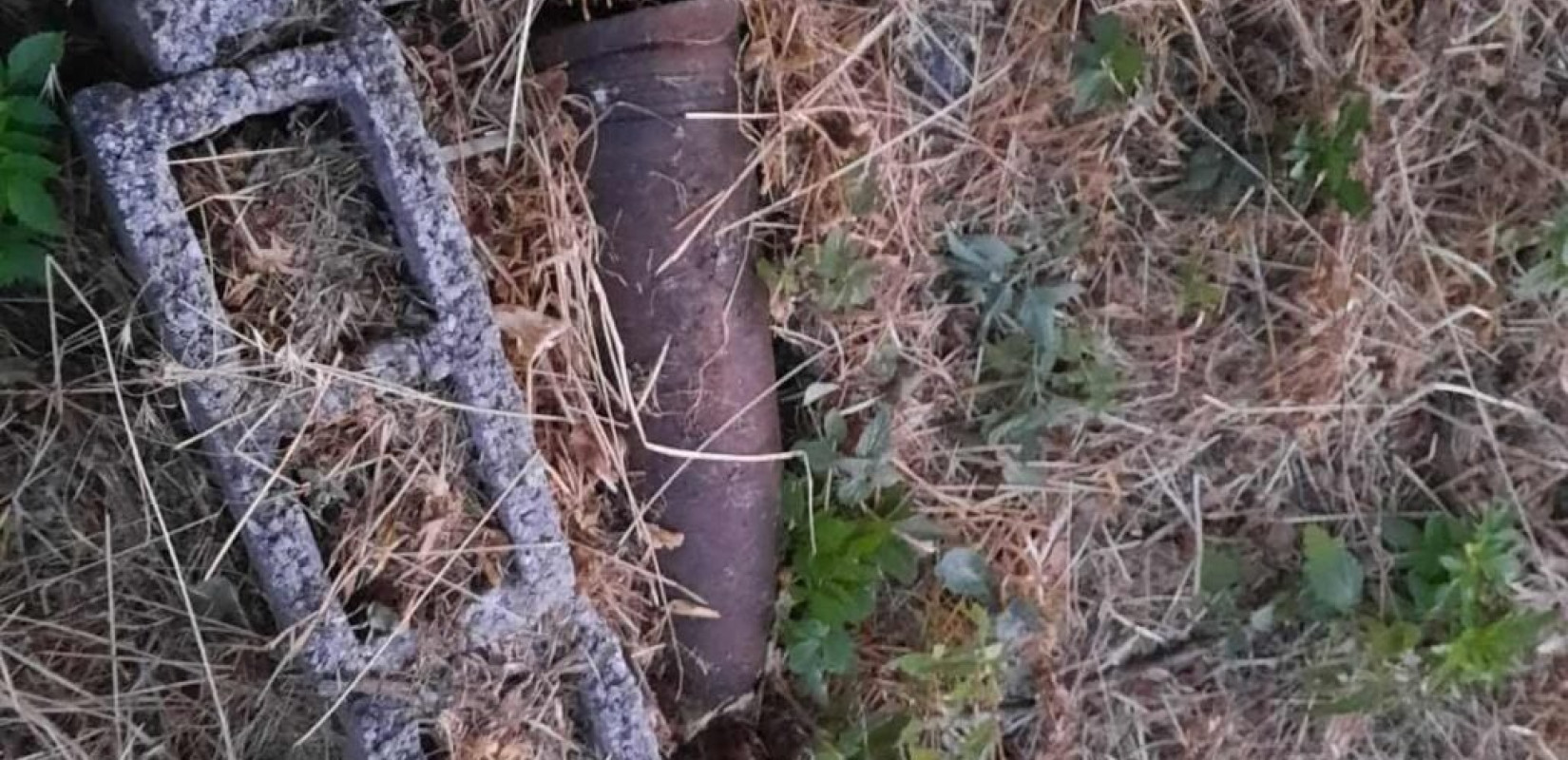 Φωτογραφία αρχείου