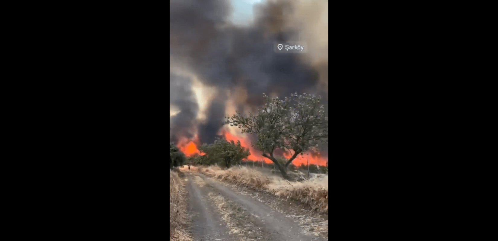 Tουρκία: Oι φλόγες απειλούν ξανά κατοικημένες περιοχές - Καπνοί έφτασαν μέχρι τα ελληνικά νησιά (βίντεο)