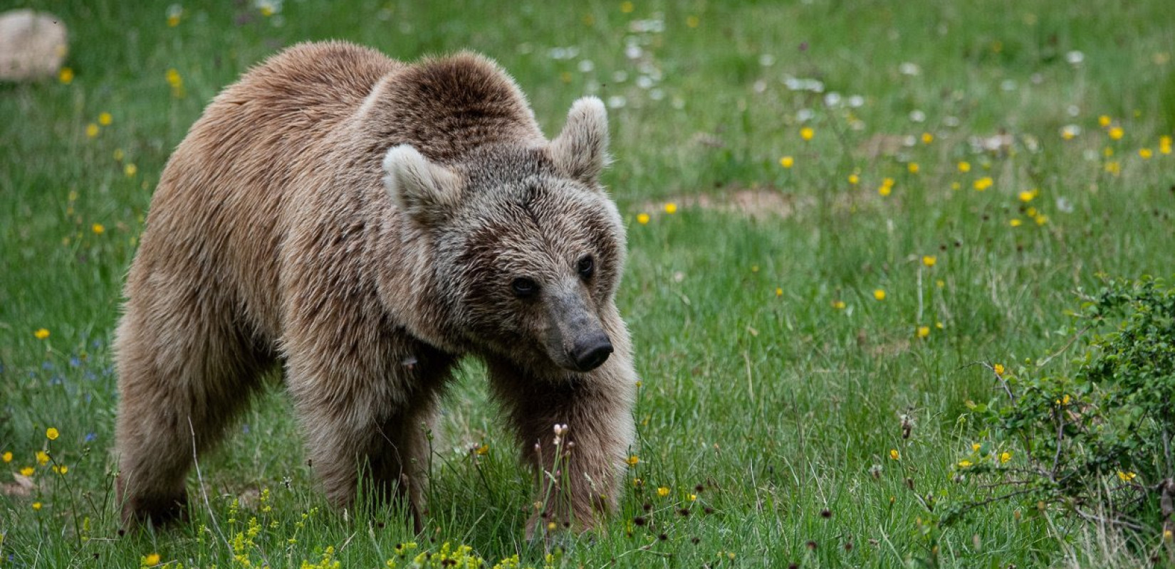 Φωτογραφία αρχείου