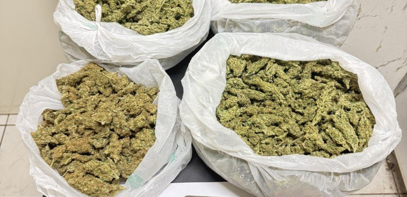 Χαλκιδική: Σύλληψη για διακίνηση, μεταφορά και κατοχή ναρκωτικών