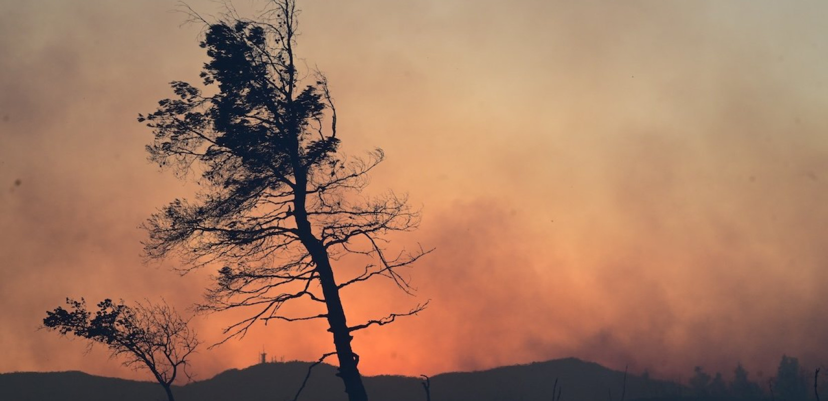 Πυρκαγιές: Το 2025 ανάμεσα στις πέντε πιο καταστροφικές αντιπυρικές περιόδους της 20ετίας - Τι δείχνει η κοινή έκθεση WWF και ΕΑΑ