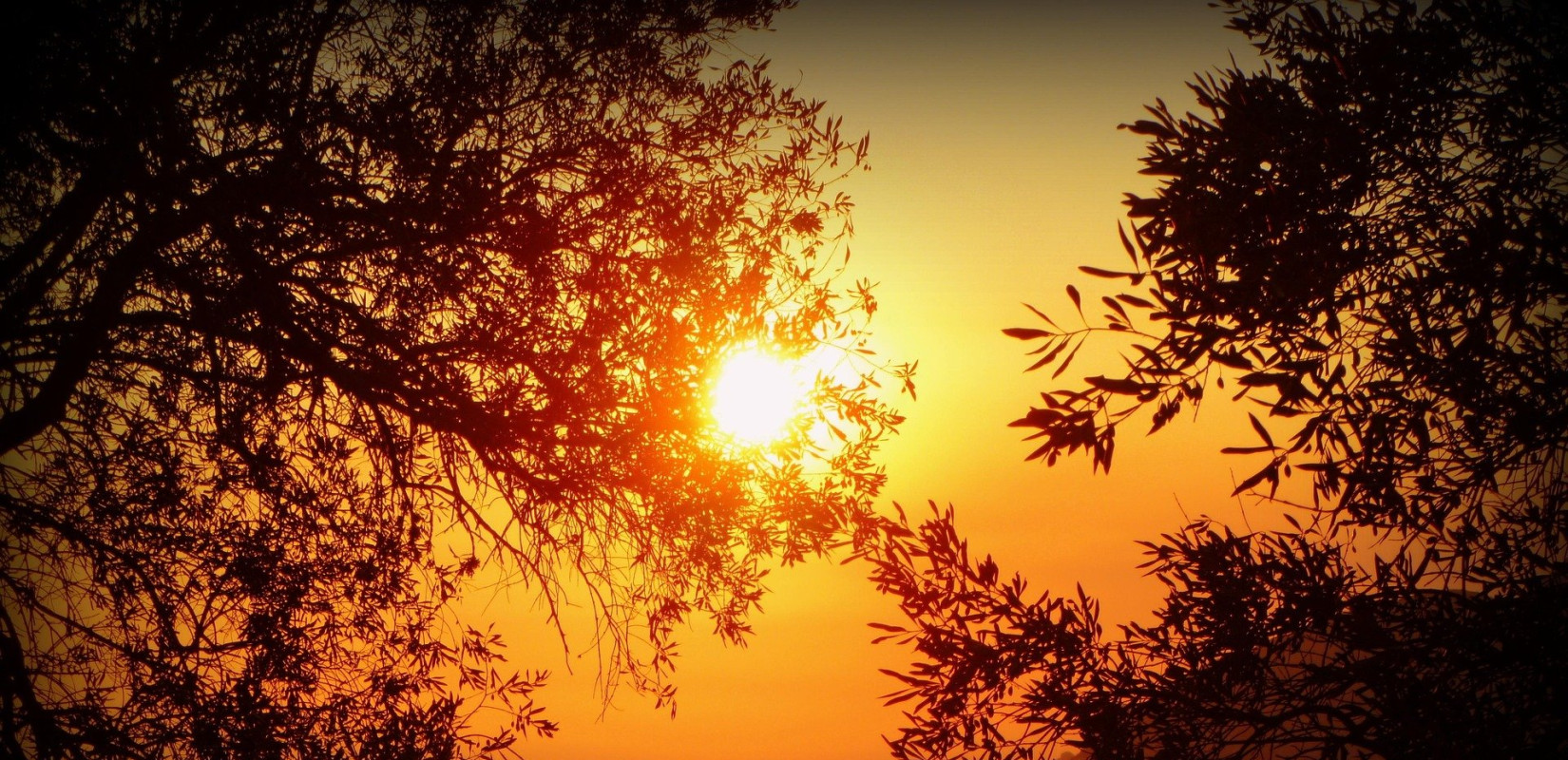 Πιάνει «ταβάνι» ο τουρισμός στη Βόρεια Ελλάδα: Τα ρεκόρ, η στασιμότητα και η βιωσιμότητα