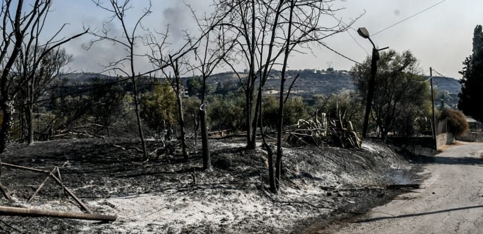 Πώς η νέα τεχνολογία επιταχύνει την καταγραφή των ζημιών από τις πυρκαγιές στην Αχαΐα