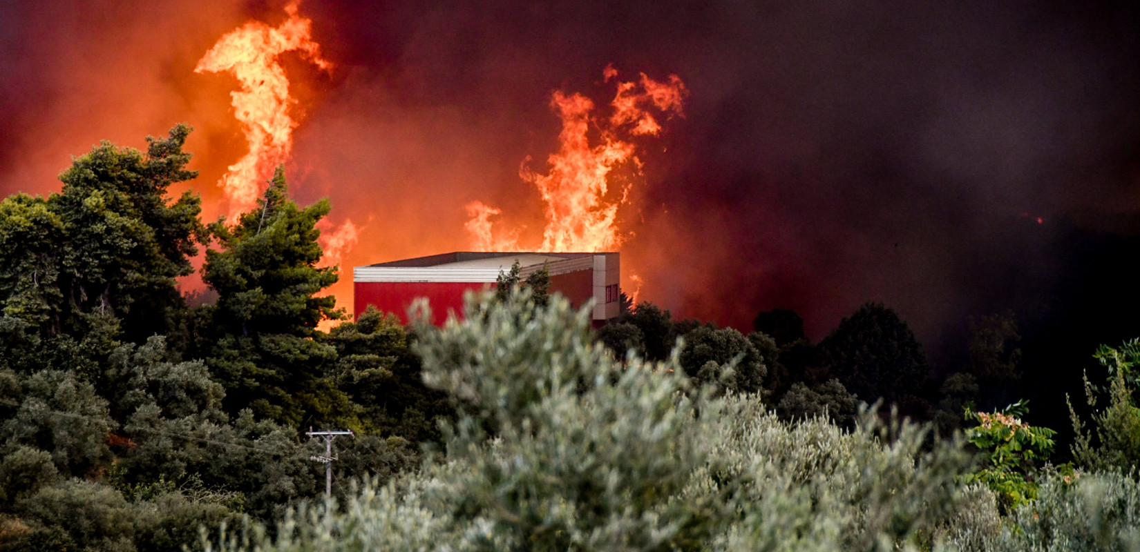 Συναγερμός στη μισή χώρα για τις πυρκαγιές: Χιλιάδες δίνουν τη μάχη στα πύρινα μέτωπα - Έρχονται χειρότερα τις επόμενες μέρες