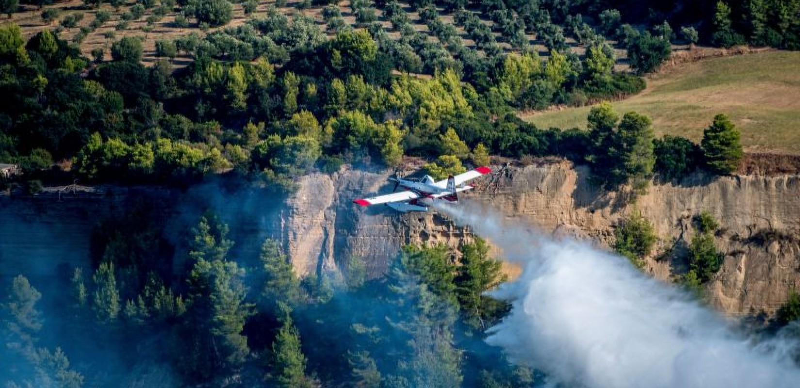 Τι κάηκε από τη φωτιά στην  στην Ηλεία – Δορυφορική εικόνα του Copernicusτης πληγείσας έκτασης