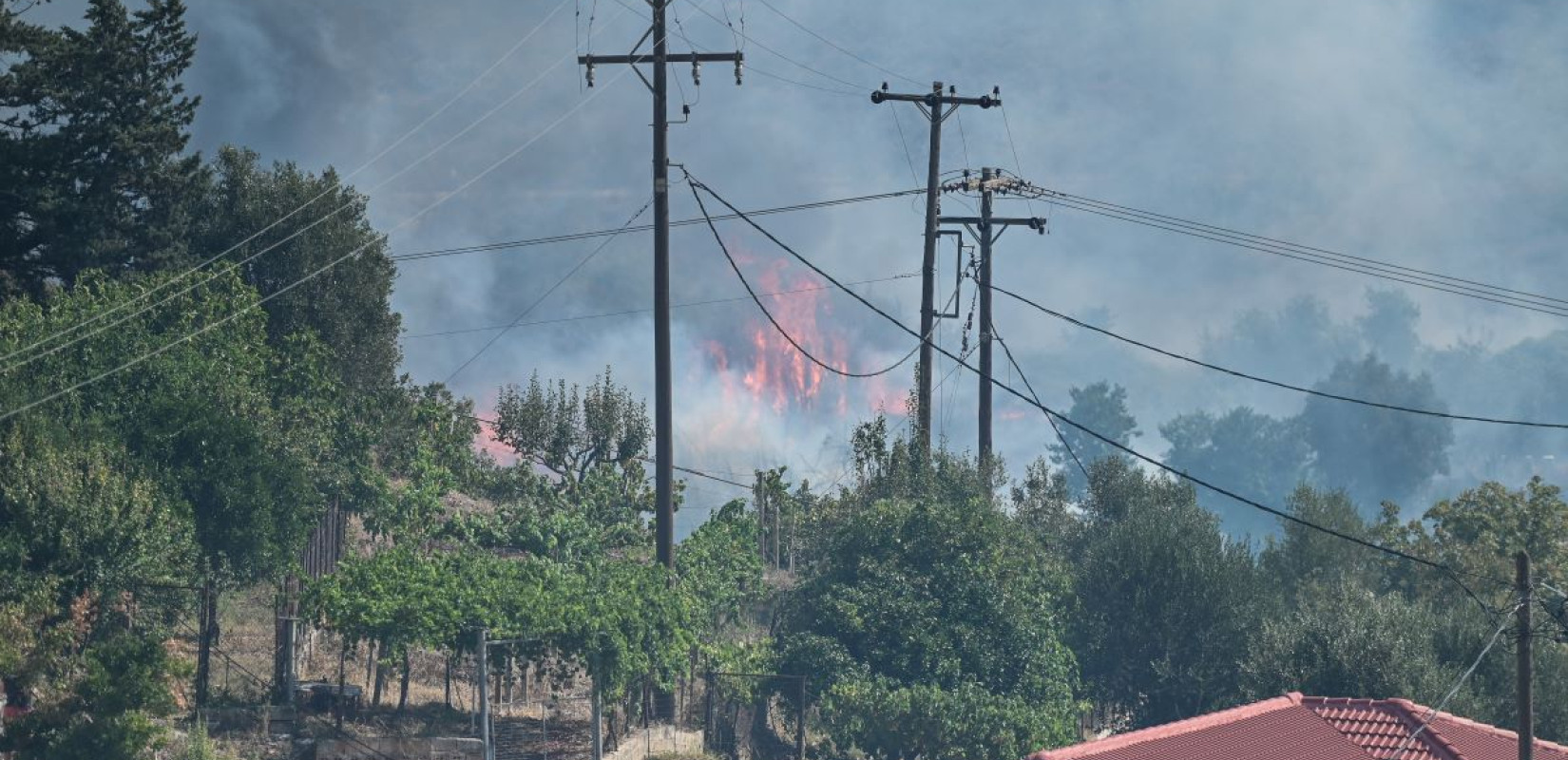 Πυρκαγιές: Εκτεταμένες καταστροφές στο δίκτυο ηλεκτροδότησης σε Χίο, Αχαΐα, Πρέβεζα και Ψαρά
