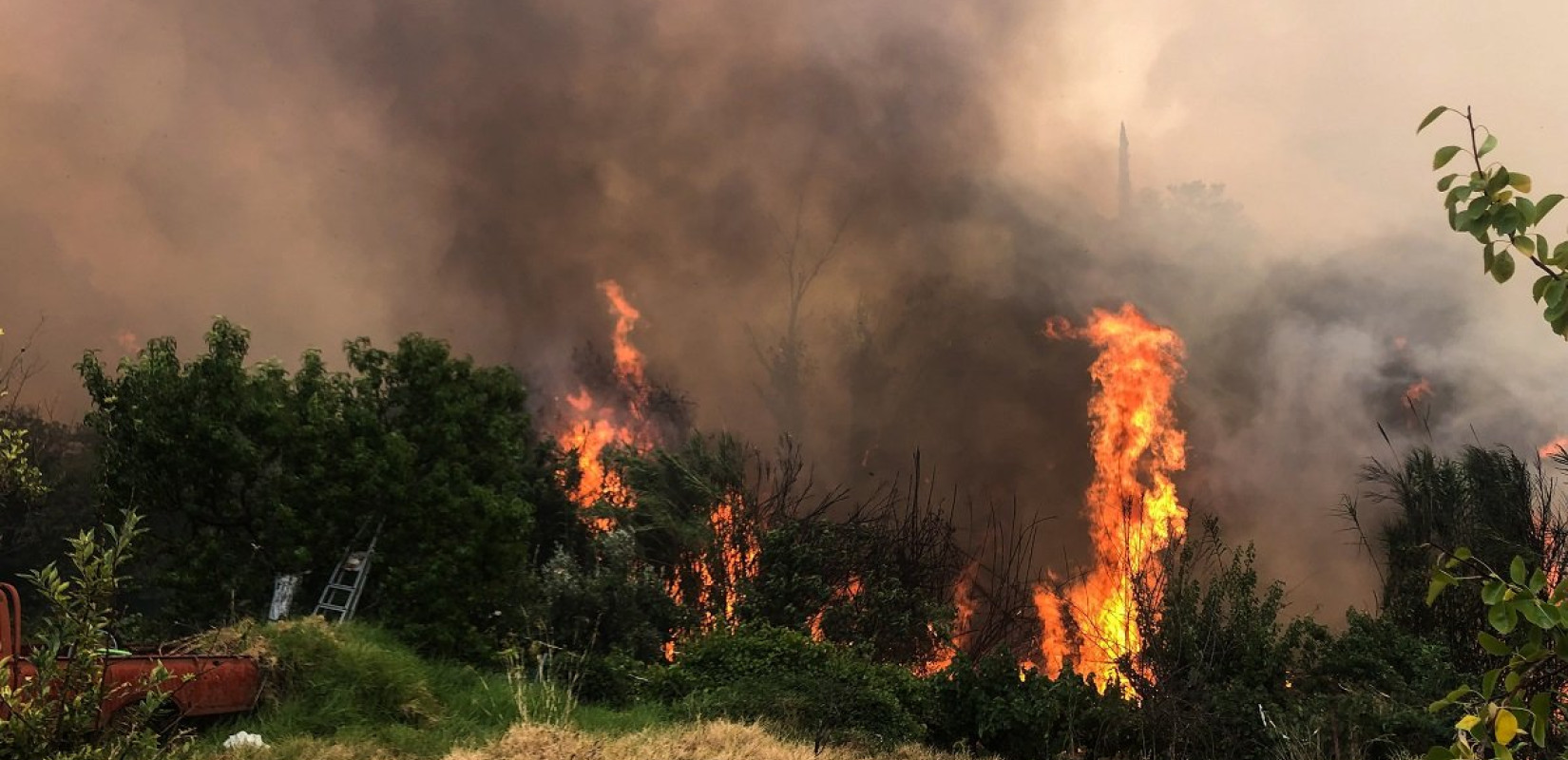 Ακραίος κίνδυνος πυρκαγιάς αύριο (13/8) σε τέσσερις περιοχές