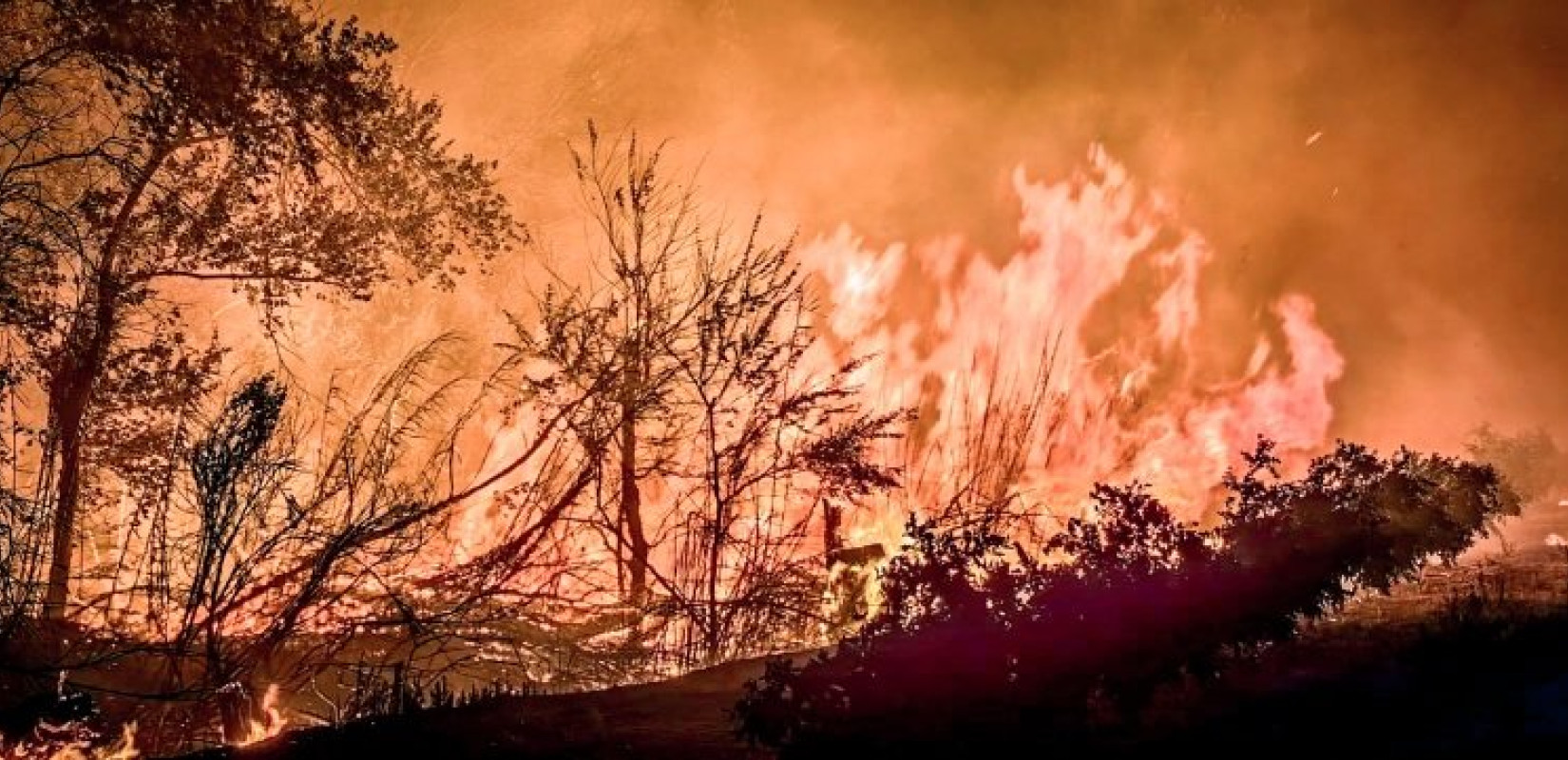 Οι συνθήκες που ευνοούν τις πυρκαγιές έγιναν 10 φορές πιο πιθανές και 22% πιο έντονες