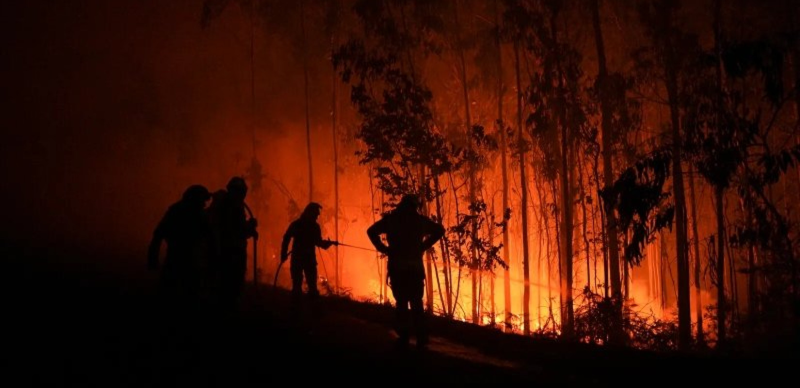 Ισπανία: Ακόμα ένας πυροσβέστης νεκρός από τις δασικές πυρκαγιές