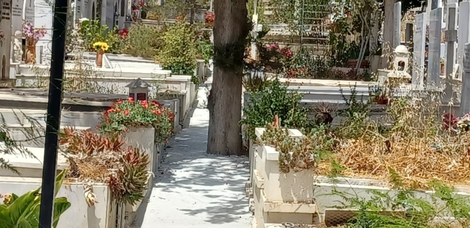 «Ανάσα» στη δυτική Θεσσαλονίκη φέρνουν τα νέα κοιμητήρια στην Ευκαρπία - Δεν υπάρχουν θέσεις σε Εύοσμο και Πολίχνη
