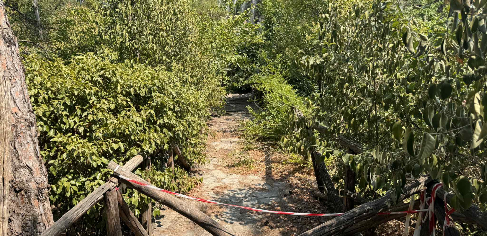 Θεσσαλονίκη: Lockdown στο ζωολογικό κήπο από το κρούσμα Βρουκέλλωσης - Οι πρώτες εκτιμήσεις και τι ακολουθεί