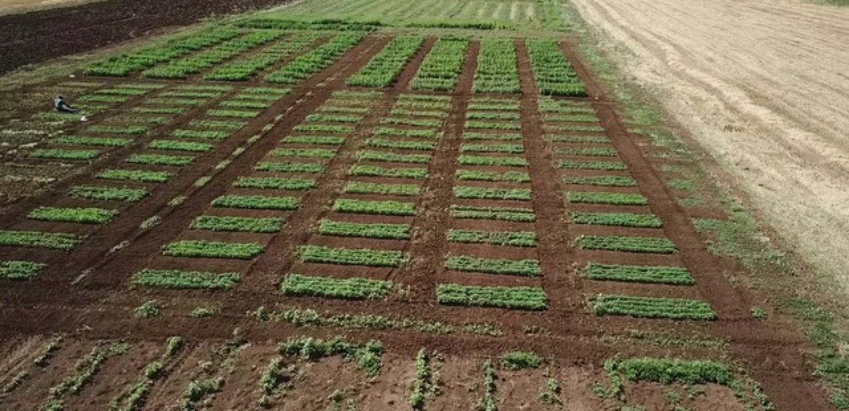 Θεσσαλονίκη: «Η γεωργία του μέλλοντος έχει ελληνικό DNA» - To  ΕΛΓΟ–ΔΗΜΗΤΡΑ πρωταγωνιστεί στη νέα ευρωπαϊκή στρατηγική