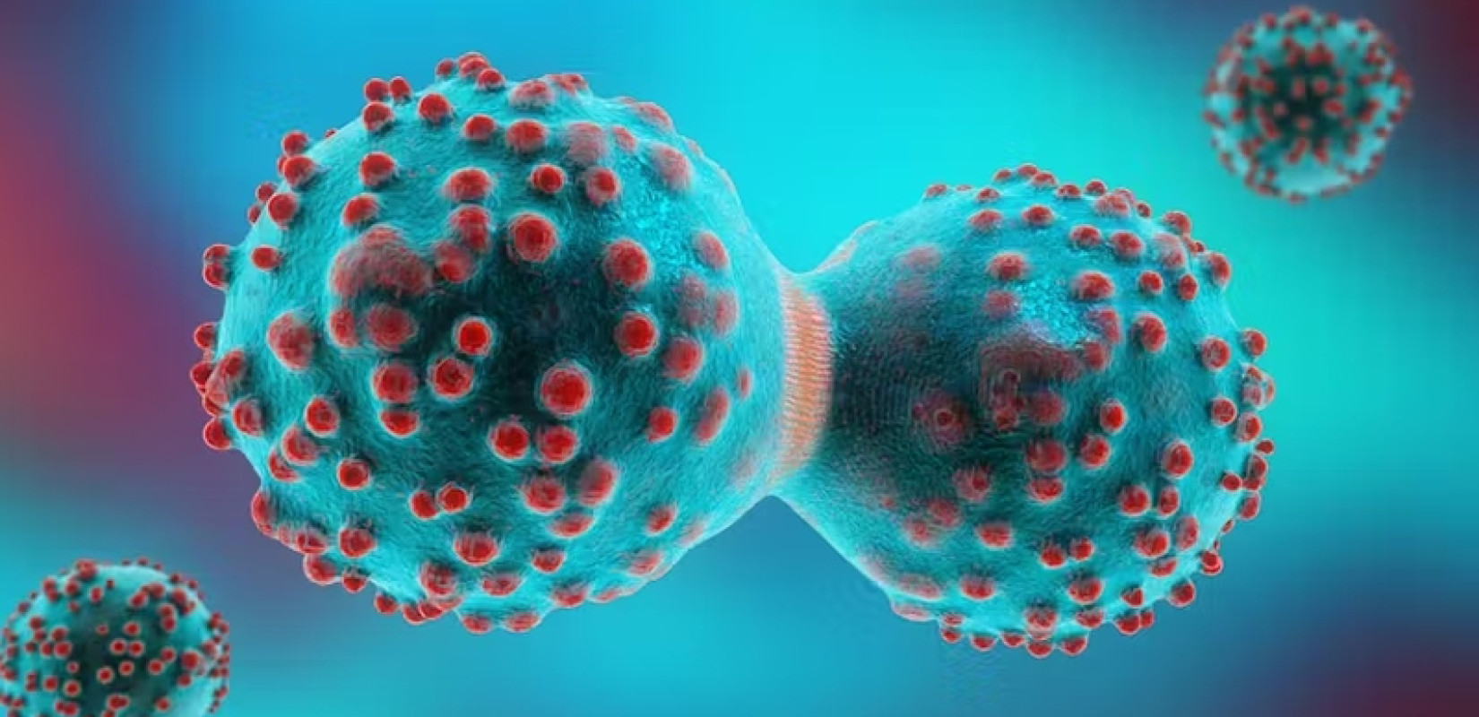 Υγεία: Διεθνής έρευνα με ελληνική συμμετοχή προτείνει καινοτόμο θεραπεία των αιματολογικών καρκίνων