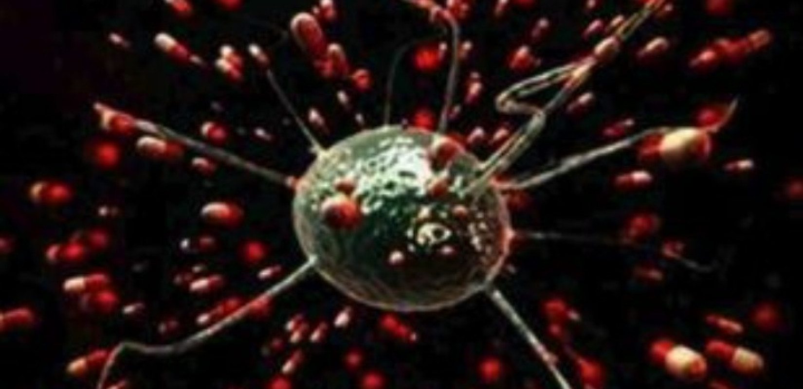 Υγεία: Στοματικά μικρόβια συνδέονται με αυξημένο κίνδυνο καρκίνου του παγκρέατος