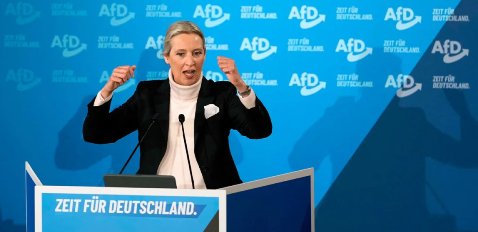Γερμανία: Πρώτη η AfD σε νέα δημοσκόπηση