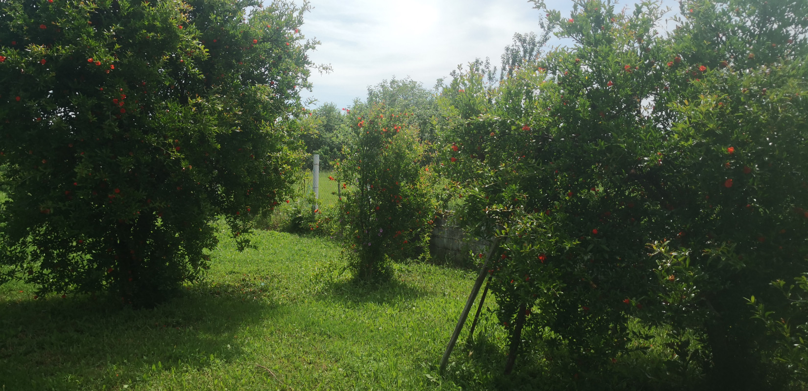 Έρευνα: Περιορισμένη ως μέτρια η γνώση των Ελλήνων για το τί είναι ένα κλιματικά ουδέτερο προϊόν