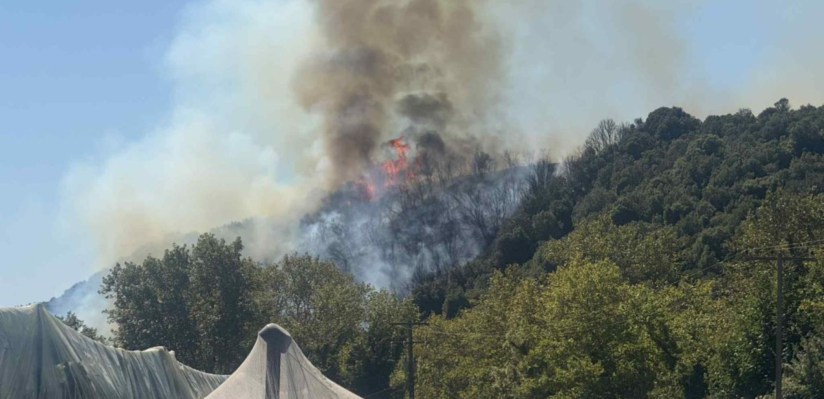 Καβάλα: Ξέσπασε φωτιά σε δασική έκταση στο Μυρτόφυτο στο Παγγαίο