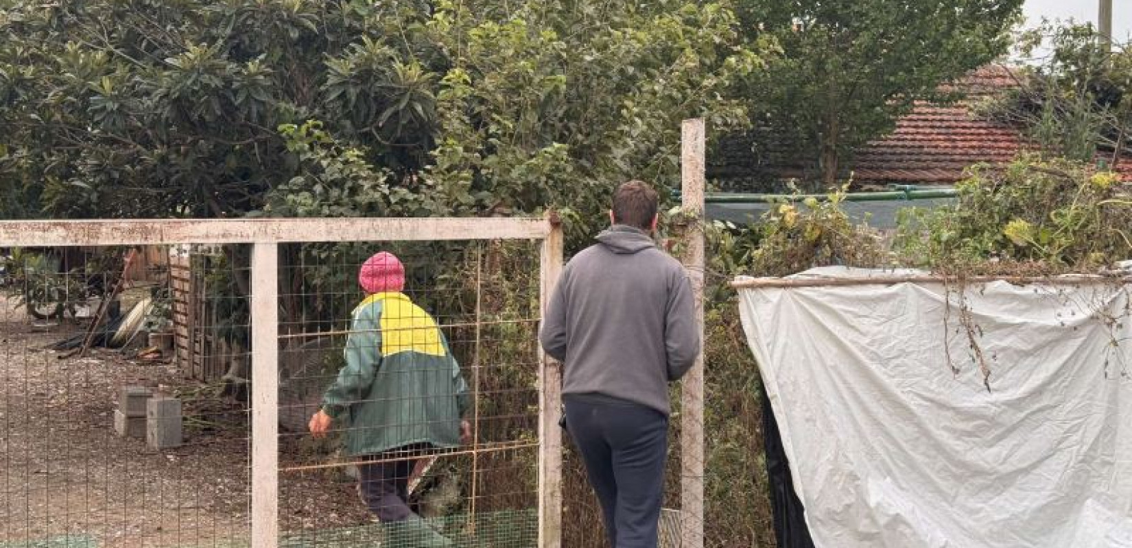 Μ. Μοναστήρι: Νεκρός 75χρονος κτηνοτρόφος - «Πέθανε όταν έμαθε ότι θα του θανατώσουν τα ζώα», λέει η σύζυγός του