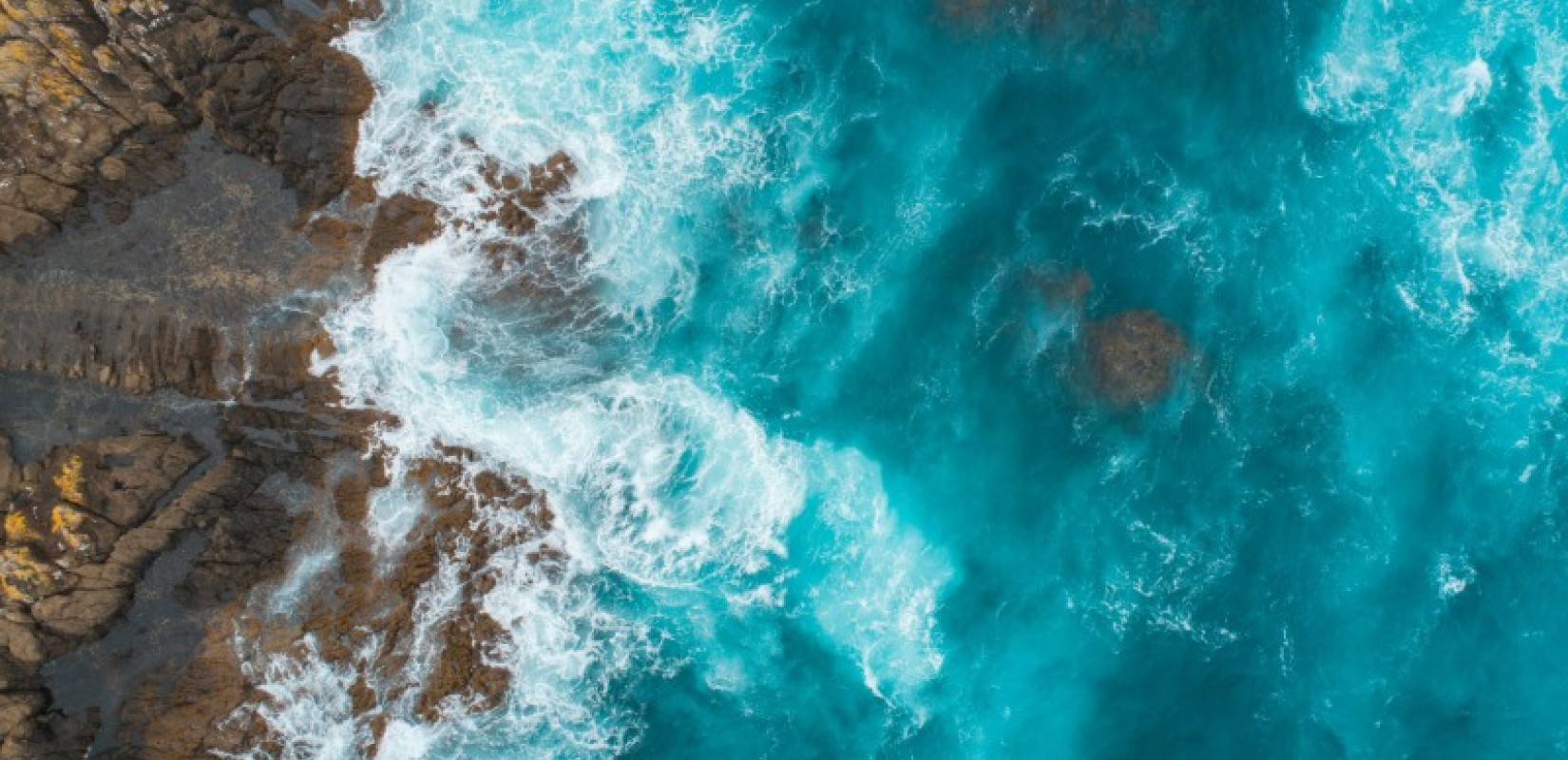 Νέα Ζηλανδία: Οι θάλασσες θερμαίνονται 34% ταχύτερα από τον παγκόσμιο μέσο όρο - Κίνδυνος για τα θαλάσσια οικοσυστήματα