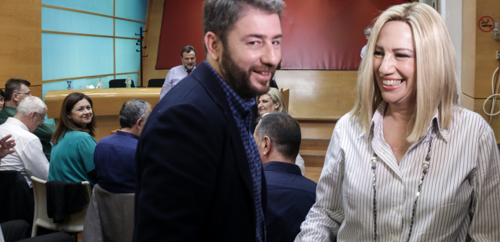 Νίκος Ανδρουλάκης για τα 4 χρόνια από τον θάνατο της Φ. Γεννηματά: Συνεχίζουμε στον δρόμο ενότητας και αυτονομίας που χάραξε