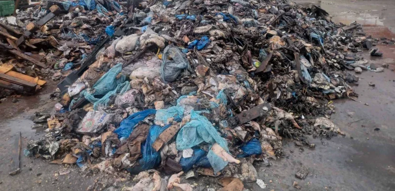 Απόβλητα από την Κέρκυρα ενταφιάζονταν στην Ήπειρο - Τρεις συλλήψεις, αναζητούνται άλλοι δώδεκα