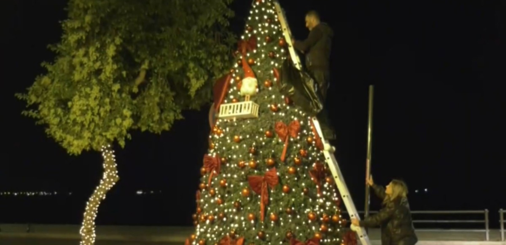 Η Θεσσαλονίκη μπαίνει νωρίς στο χριστουγεννιάτικο πνεύμα - Στολίστηκε το πρώτο δέντρο της πόλης (βίντεο)