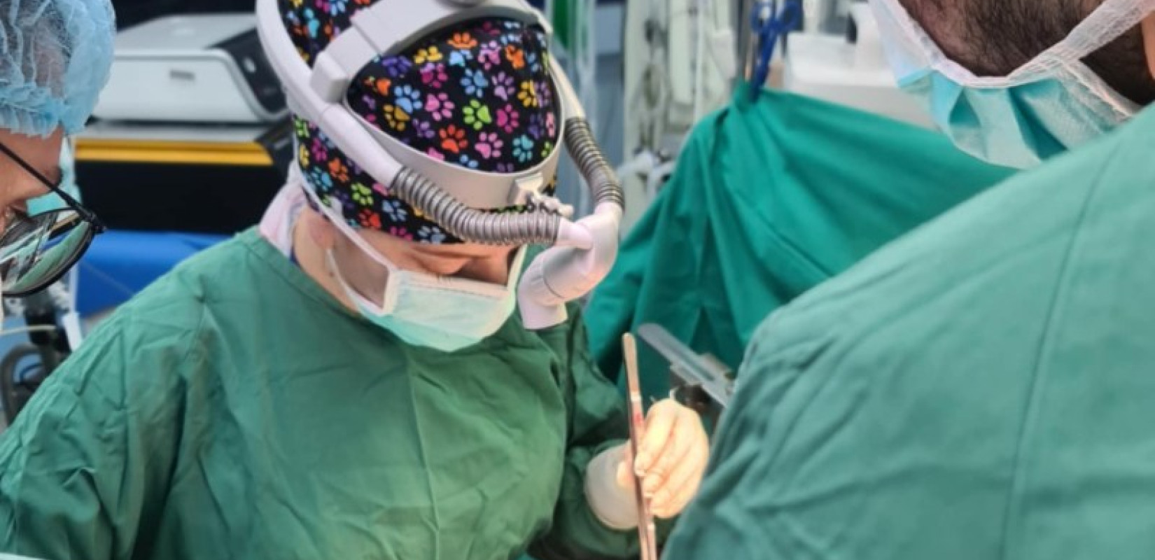Ιστορική πρώτη στην Ελλάδα: Γυναίκα χειρουργός πραγματοποίησε μεταμόσχευση ήπατος - Επιτυχία για το ΑΠΘ