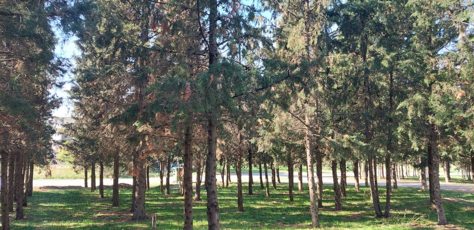 Ματαίωση άσκησης προσομοίωσης πυρκαγιάς στο Κόδρα