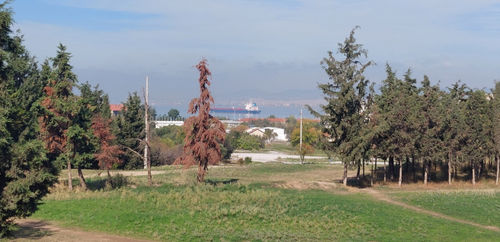 Χρ. Αράπογλου: Αν συνεχιστεί η ίδια κατάσταση με τους εμπρησμούς στο Κόδρα, δεν θα υπάρχουν κτίρια για να σωθούν