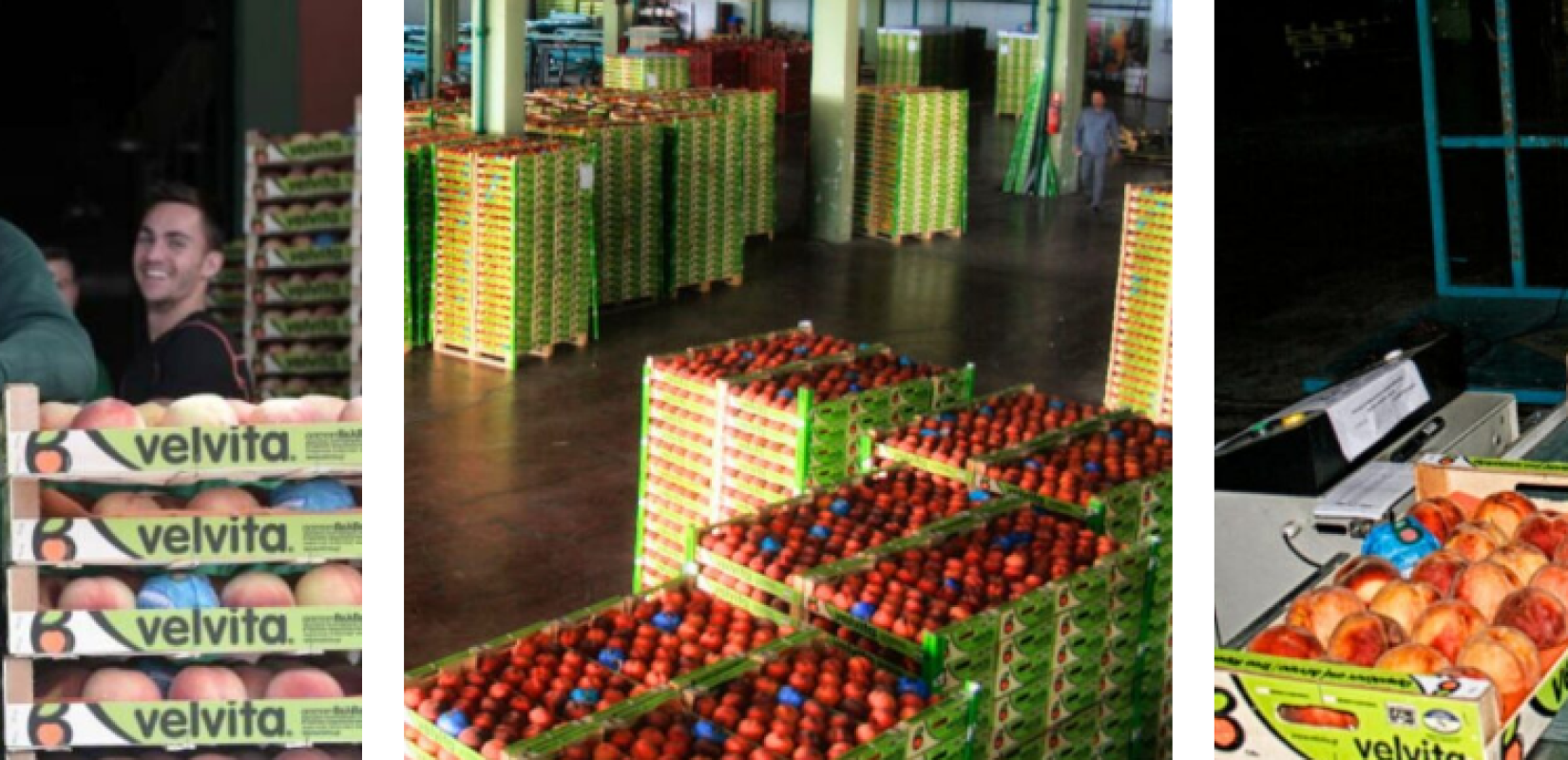 ΑΣΕΠΟΠ: Πάνω από 23 εκατ. ευρώ σε επενδύσεις - Ενίσχυση των εξαγωγών και νέος κύκλος εργασιών