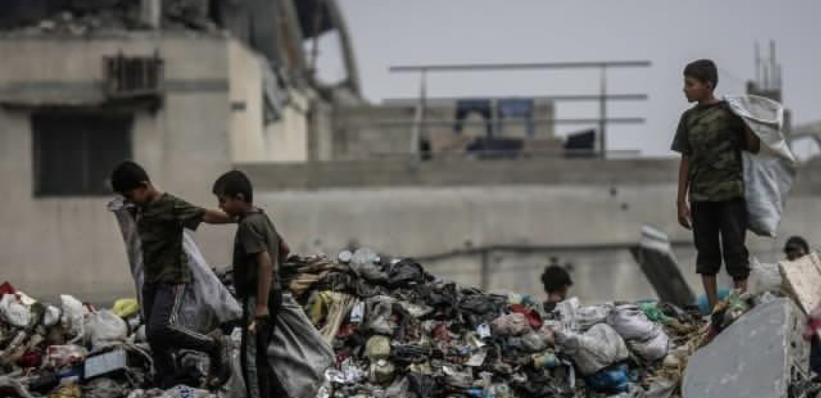 Δράμα δίχως τέλος στη Γάζα: Αρουραίοι, ψύλλοι και παράσιτα εξαπλώνονται στους καταυλισμούς των εκτοπισμένων Παλαιστίνιων