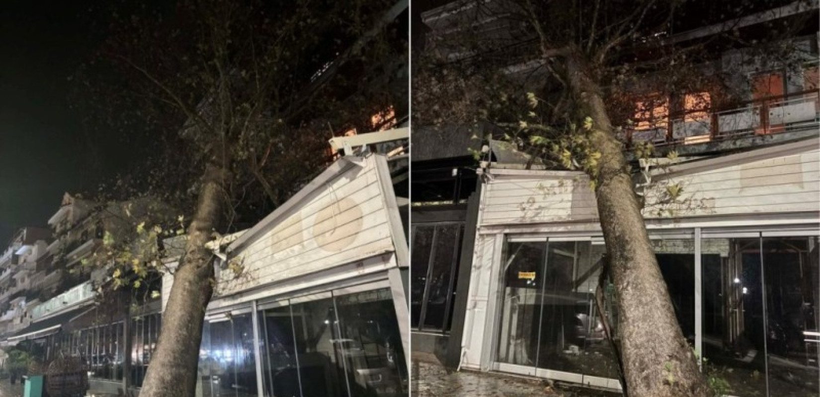 «Άνοιξαν οι ουρανοί» στην Ήπειρο: Εγκλωβίστηκαν άτομα στην Κόνιτσα και έπεσε δένδρο σε κατάστημα στην Ηγουμενίτσα (βίντεο)