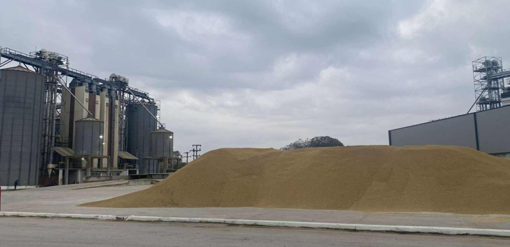 Θεσσαλονίκη: Οι ζωοτροφές γίνονται… ρύζι για γάμο - Πρωτοτυπία από τους ορυζοπαραγωγούς της Χαλάστρας