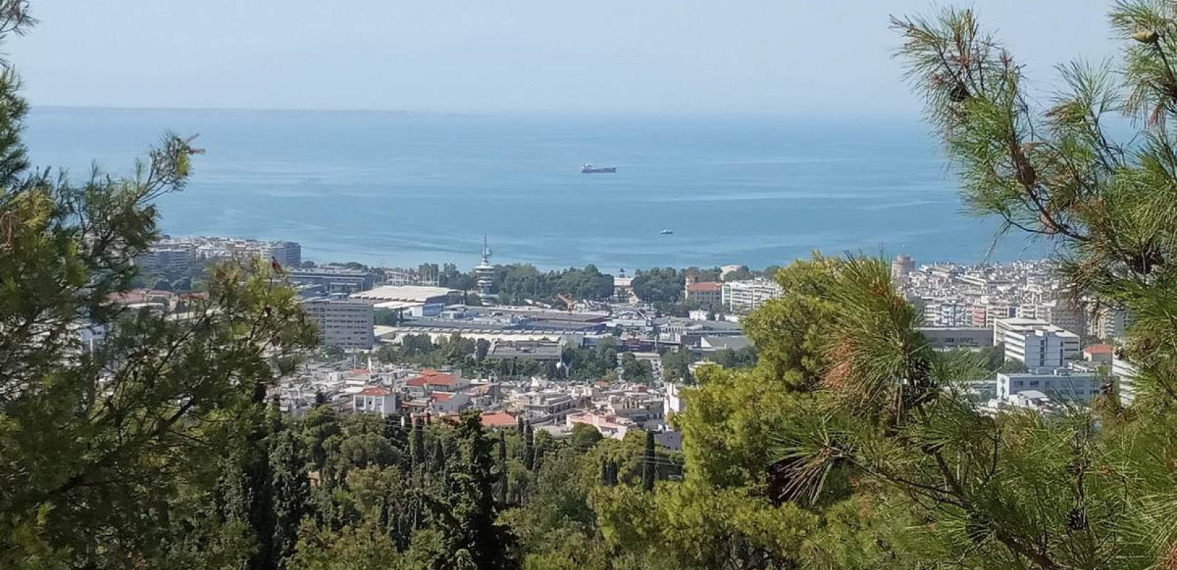 Θεσσαλονίκη: «Ασπίδα» προστασίας και ανάδειξης της Δασικής Υπηρεσίας για το Σέιχ Σου