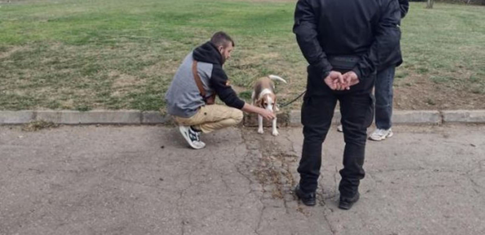 Θεσσαλονίκη: Πρόστιμα σχεδόν 10.000 ευρώ σε κηδεμόνες δεσποζόμενων ζώων τον μήνα Νοέμβριο