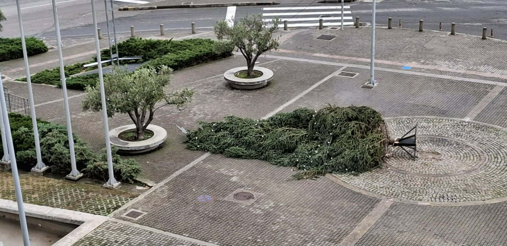 Θεσσαλονίκη: «Θύμα» των ισχυρών ανέμων το χριστουγεννιάτικο δέντρο στο δημαρχείο - Για λόγους ασφαλείας κατέβηκε