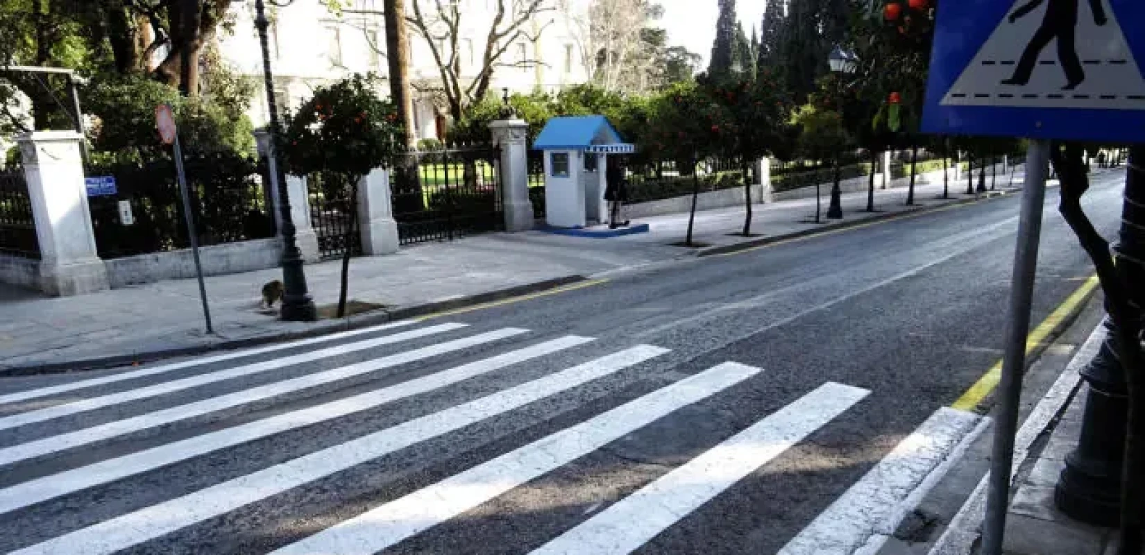 Τροχαίο ατύχημα έξω από το Μέγαρο Μαξίμου: Οδηγός ΙΧ παρέσυρε ηλικιωμένο και κατέληξε σε δέντρο