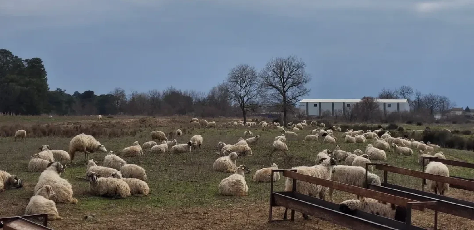Πηγή φωτογραφίας: https://www.instagram.com/p/DF-UGK5t3wk/?hl=el