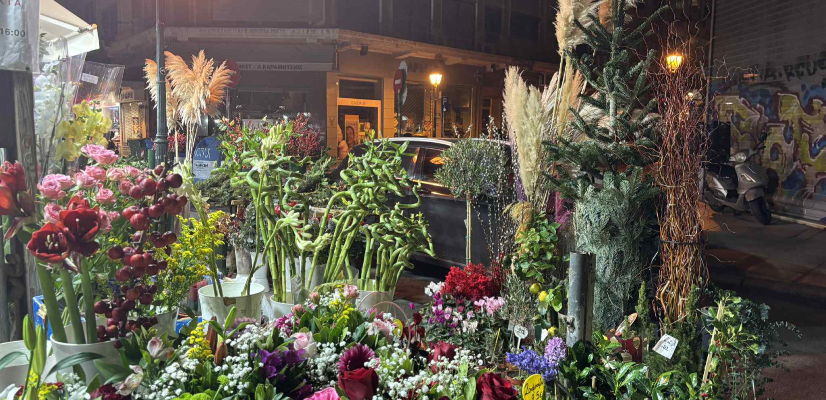 Θεσσαλονίκη: Τα φυτά των Χριστουγέννων που «ζωντανεύουν» τον στολισμό - Οι τιμές σε γκι και αλεξανδρινά