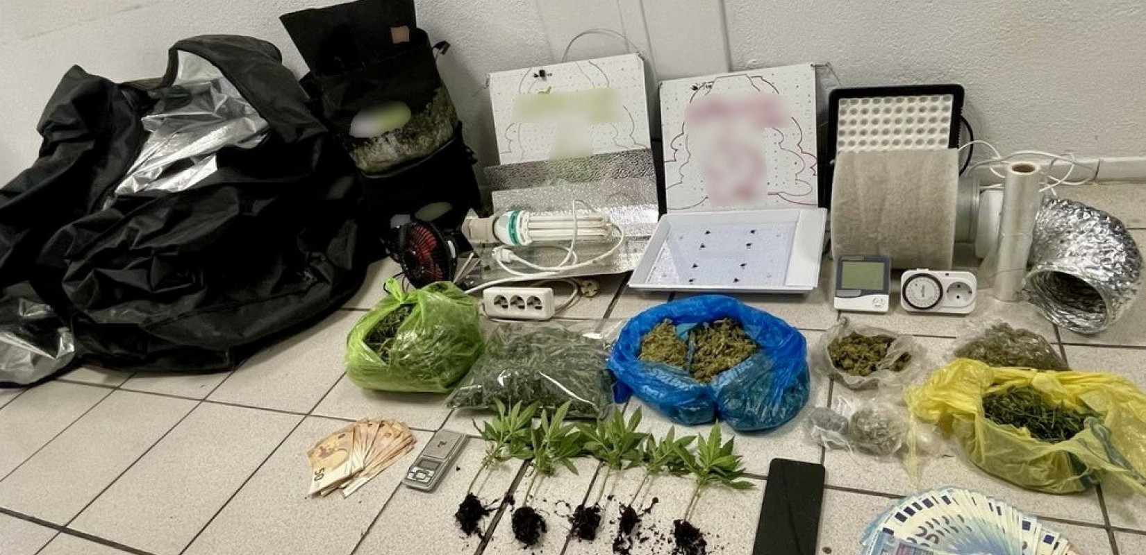 Πιερία: Συνελήφθησαν 2 άτομα για ναρκωτικά  - Κατασχέθηκαν δενδρύλλια και ποσότητες ακατέργαστης κάνναβης