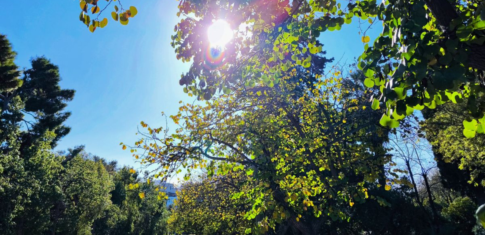 Φωτογραφία αρχείου - Eurokinissi.gr