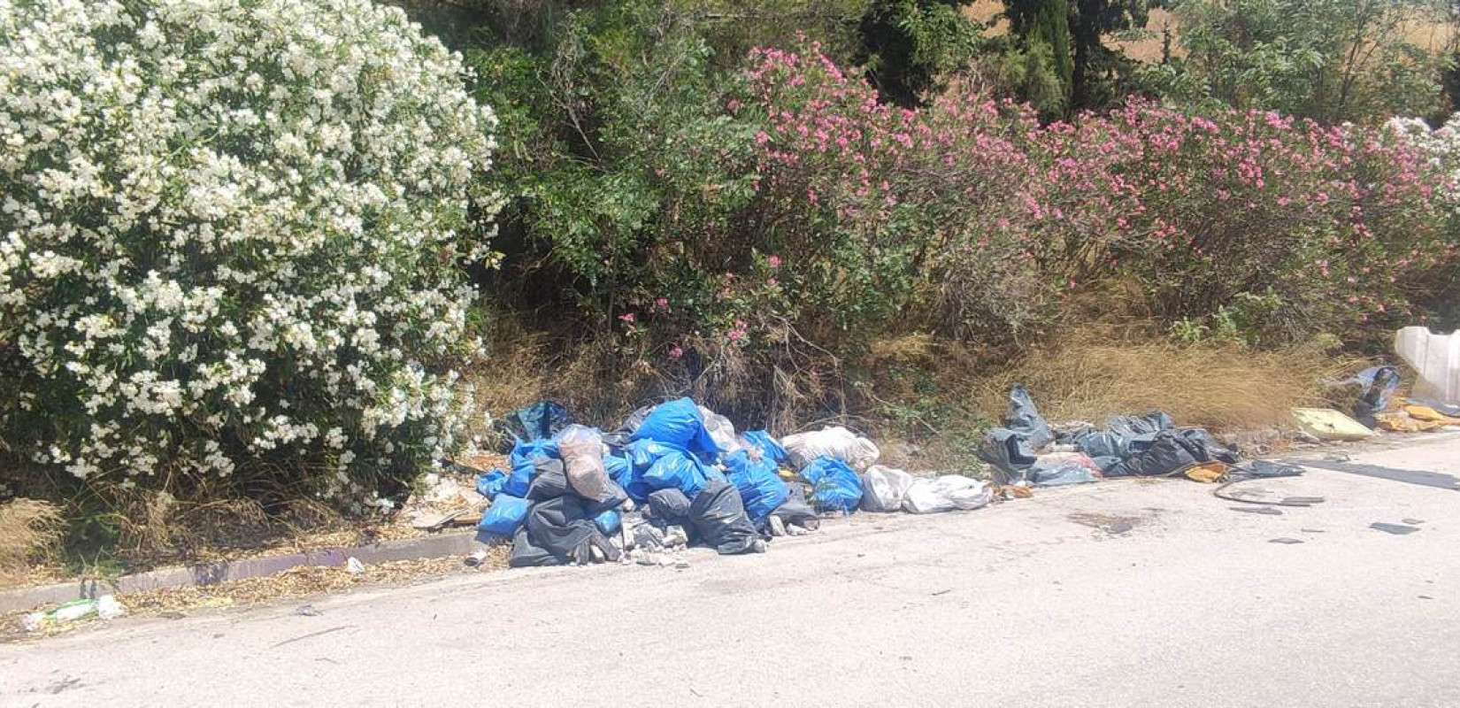 Θεσσαλονίκη: Δικογραφία σε βάρος εκπροσώπου εταιρείας για περιβαλλοντική ρύπανση