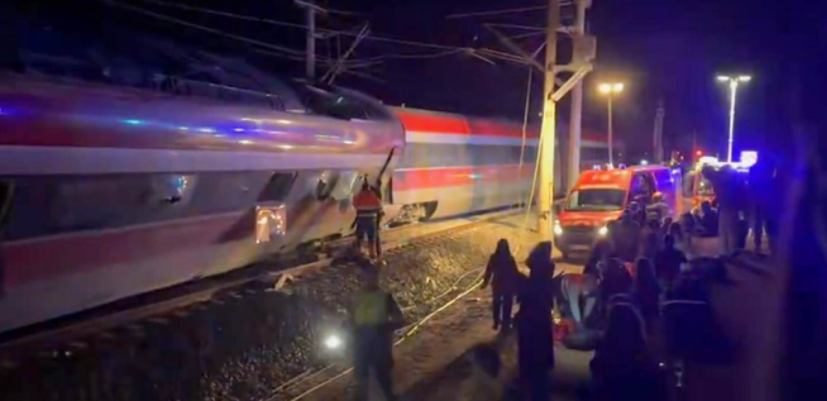 Ισπανία: Σκύλος που αγνοείτο στη σιδηροδρομική τραγωδία διασώθηκε έπειτα από τέσσερις ημέρες