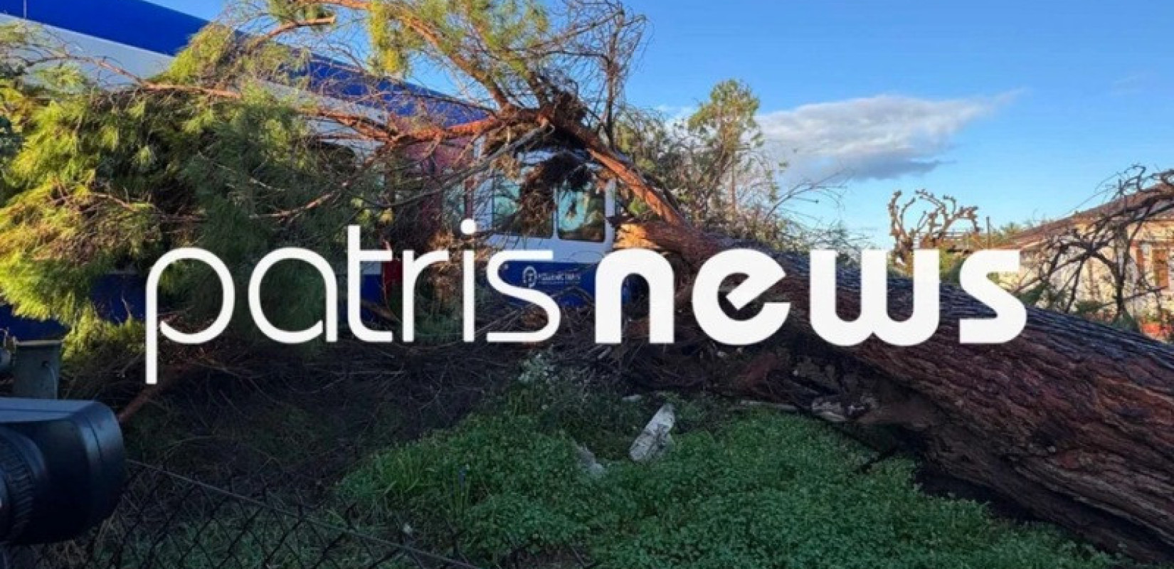 Τι λέει η Hellenic Train για την πτώση δέντρου πάνω σε αμαξοστοιχία στον Πύργο