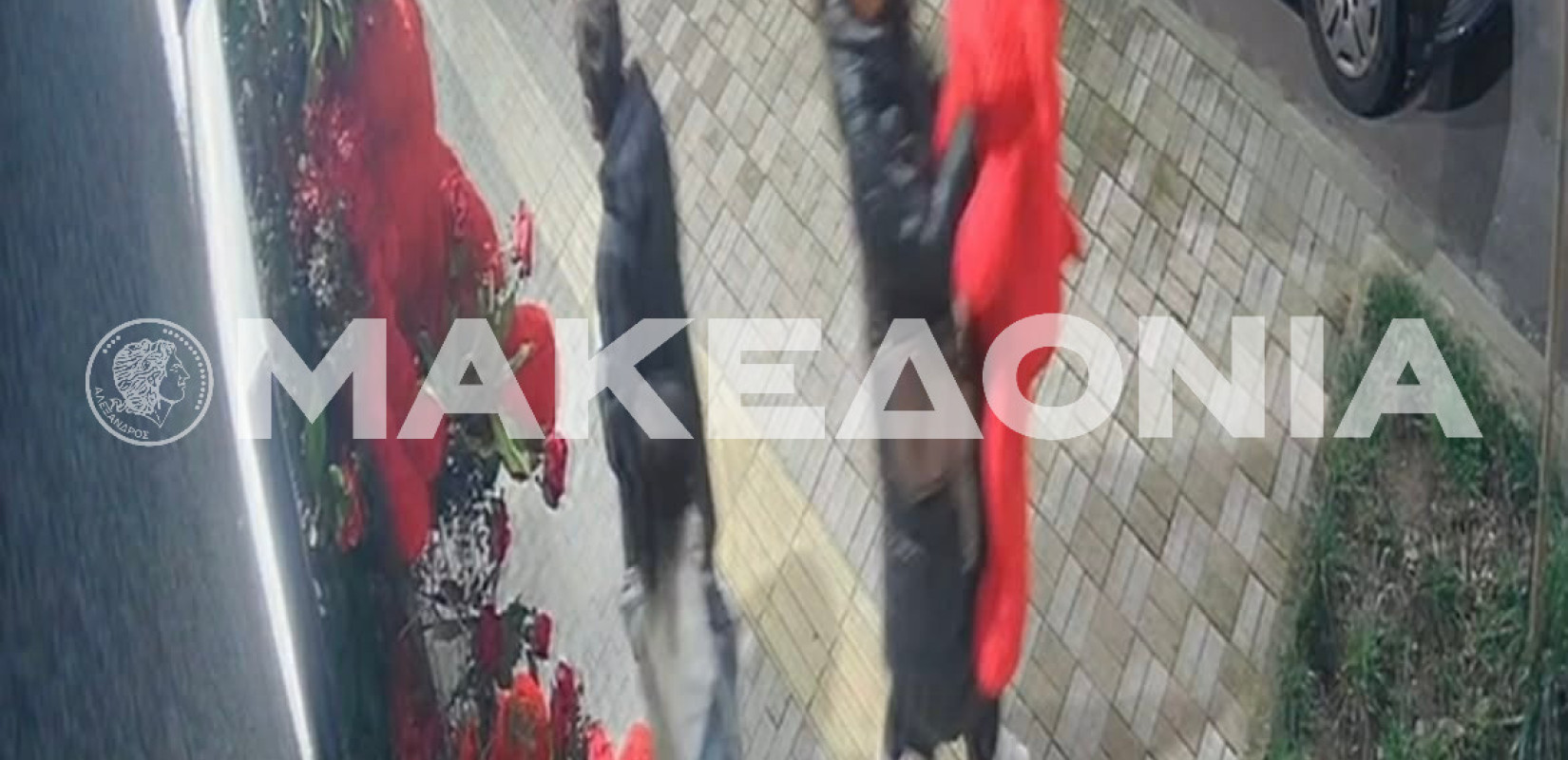 Θεσσαλονίκη: Λούτρινα αρκουδάκια εξαφανίστηκαν μυστηριωδώς πριν από... τον Άγιο Βαλεντίνο (βίντεο)