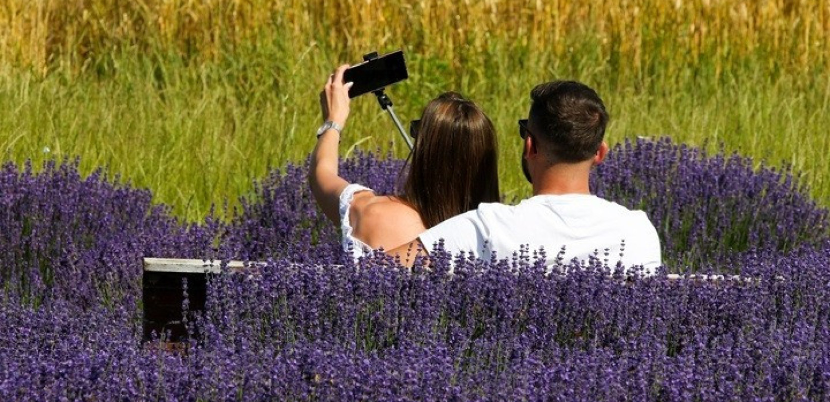 Έρωτας στην Ψηφιακή Εποχή: Πώς οι αλγόριθμοι επηρεάζουν την επιθυμία και τη σύνδεση