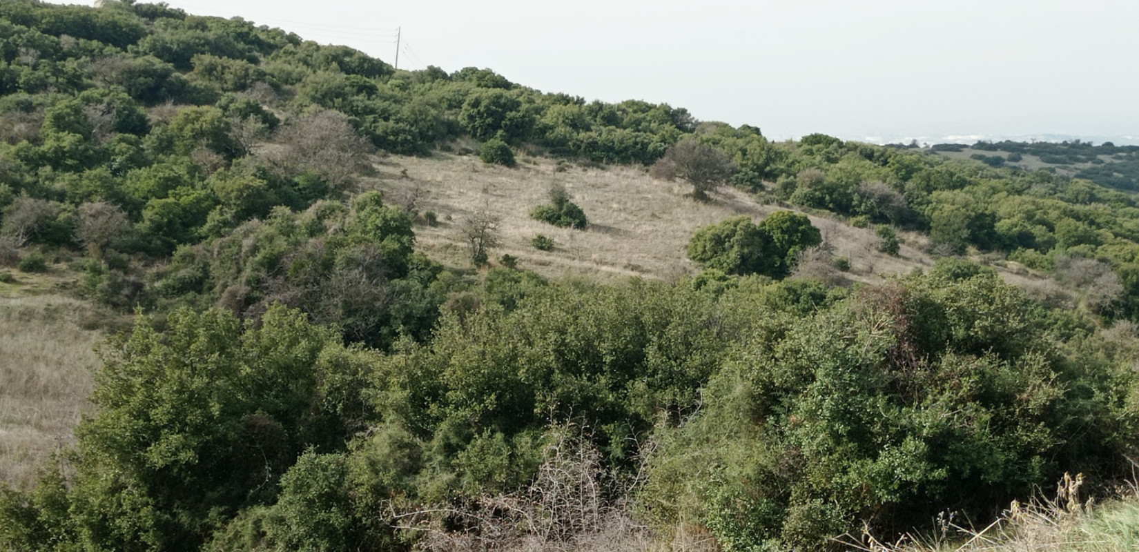 Χαλκιδική: Απαγόρευση κυκλοφορίας στις δασικές περιοχές τριών δήμων