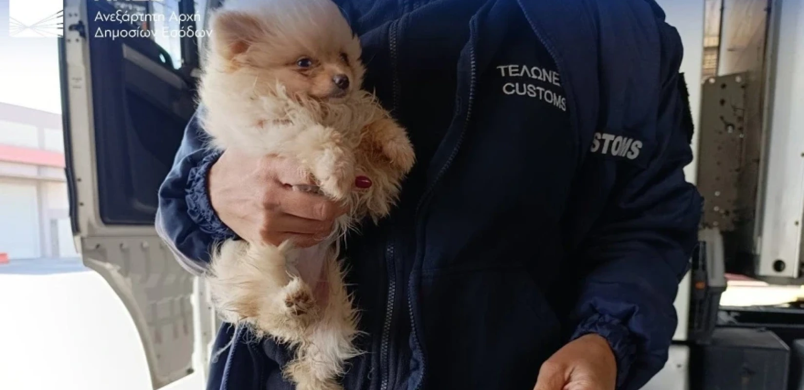 «Φρένο» στο λαθρεμπόριο από την ΑΑΔΕ: X-Rays και τετράποδοι ανιχνευτές «ξεσκέπασαν» εκατομμύρια ευρώ και ναρκωτικά