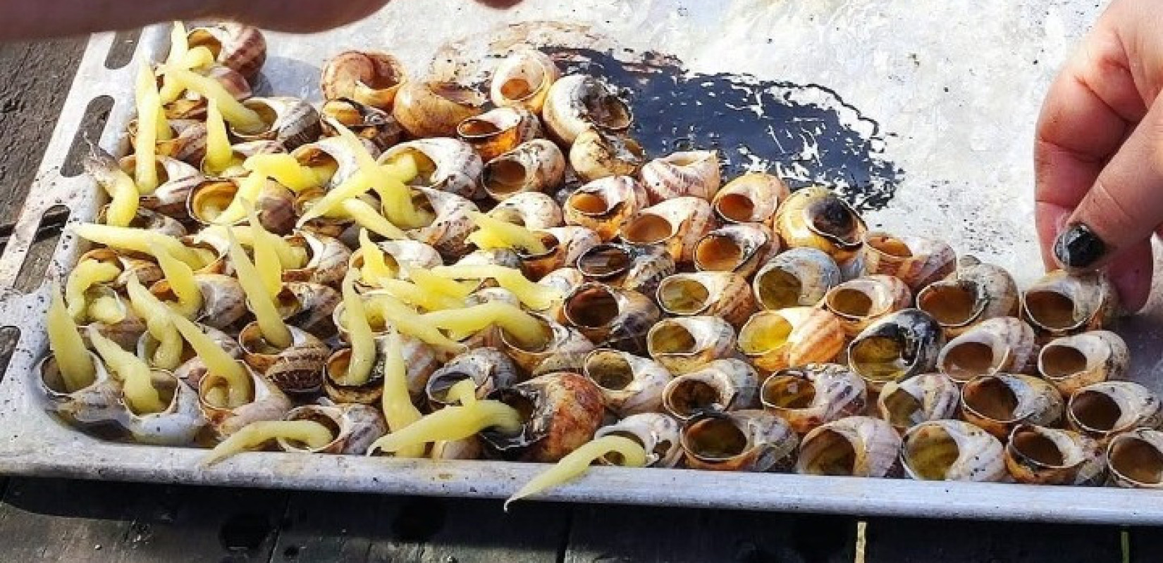 Ένα μοναδικό Πασχαλινό έθιμο στην Κέρκυρα - Το άναμμα των σαλιγκαριών αναβιώνει και φέτος