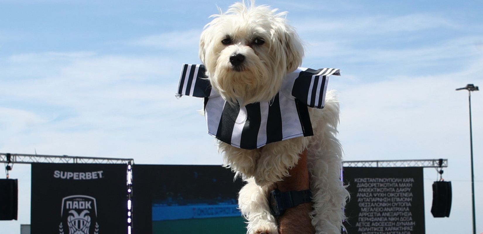 Γιορτή ΠΑΟΚ: Ο πιο πιστός φίλος του Δικέφαλου